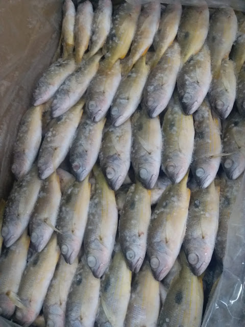 https://www.facebook.com/Bestqualityfishctg/