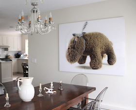 photo of an old stuffed hippo, hung on the wall