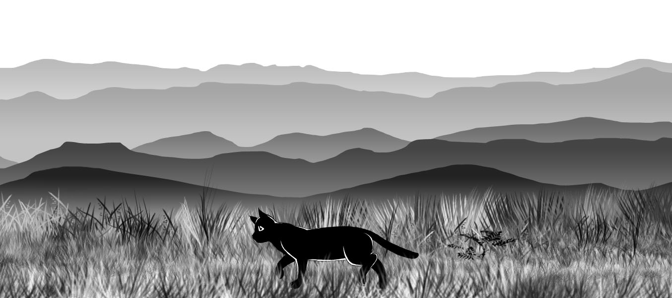 Membuat Animasi Kucing Berjalan  Dengan CSS Belajar Coding
