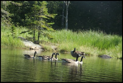 Northeast Creek 087