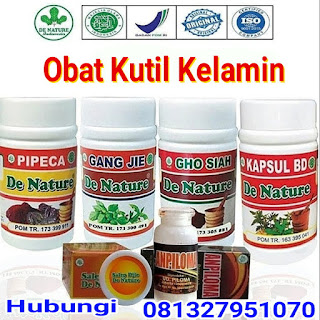 obat kutil kelamin