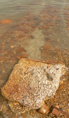 P1200887