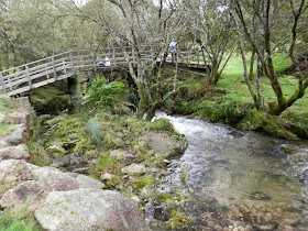 by E.V.Pita.... Spain, amazing rain forest in River Barragan (Pazos de Borben) / Por E.V.Pita.... Sorprendente bosque del río Barragan (Galicia, Pazos de Borbén y Fornelos de Montes) / A fraga do Barragán