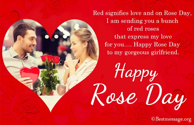 Happy Rose Day 2021 Best Wishes Quotes And Messages