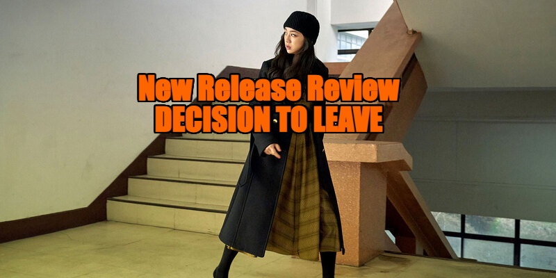 Decision to Leave review