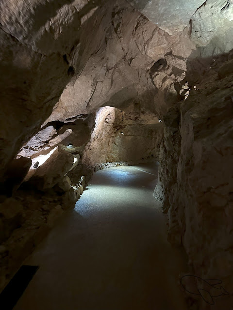 冰洞Ice Cave