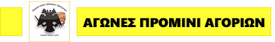  ΠΡΟΜΙΝΙ ΑΓΟΡΙΑ 2019-2020