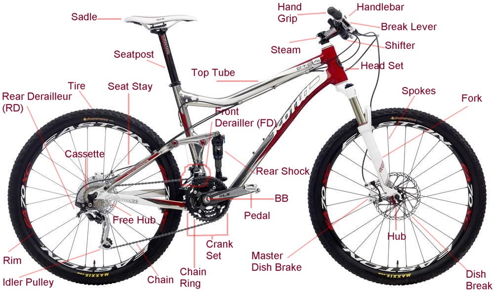 Mountain Bike: Anatomi Sepeda MTB
