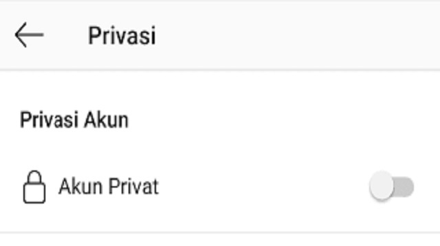 Kenapa Akun IG tidak Bisa di Publik