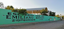 Mi foto