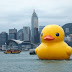 The Giant Rubber Duck of Florentijn Hofman