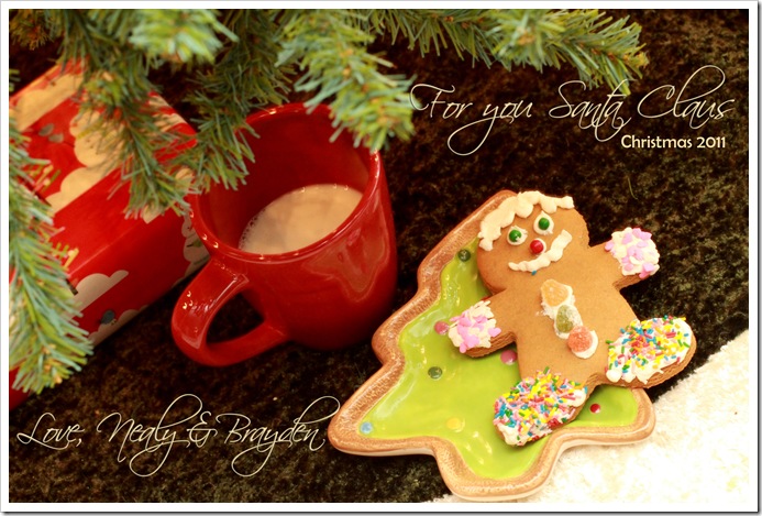 Merry Christmas 2011 - Andrade 081