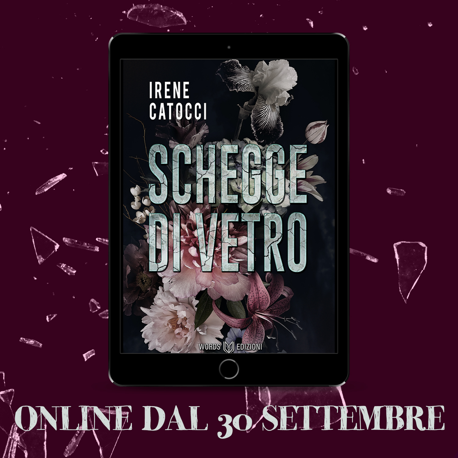 Segnalazione Schegge di vetro di Irene Catocci