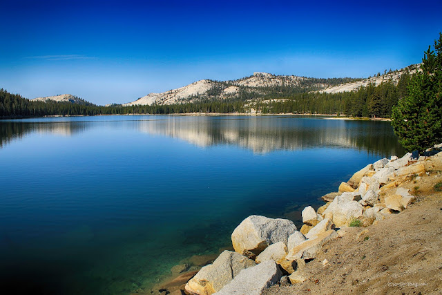 Yosemite National Park Tioga Pass geology travel field trip copyright rocdoctravel.com