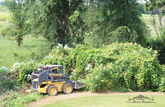 Landscaping with Rocks, Bliss-Ranch.com