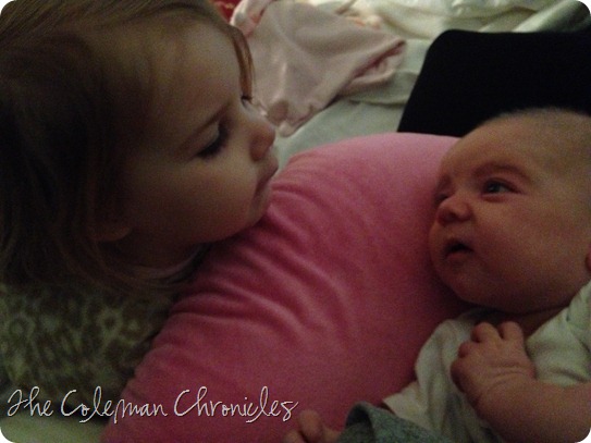 IMG_4309 IMG_4309