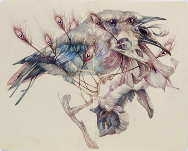 marco mazzoni 1