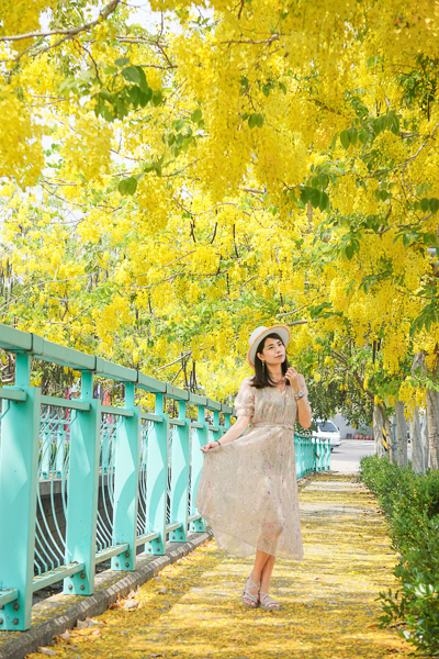 南投福崗路阿勃勒黃金雨搭配粉綠色欄杆，拍充滿延伸感的美照