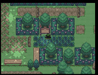 Pokemon Nightshade Screenshot 02