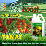 https://bioboostsakti.blogspot.co.id/2016/10/aplikasi-bioboost-untuk-tanaman-tomat.html