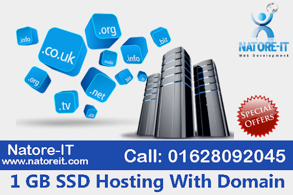 1 GB Hosting With Domain