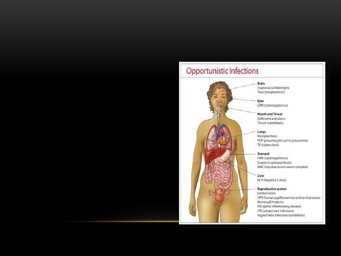 O GÊNERO ENTEROBACTER NAS INFECÇÕES HOSPITALARES