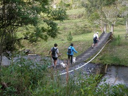 Dogs Trekking 4 (101)