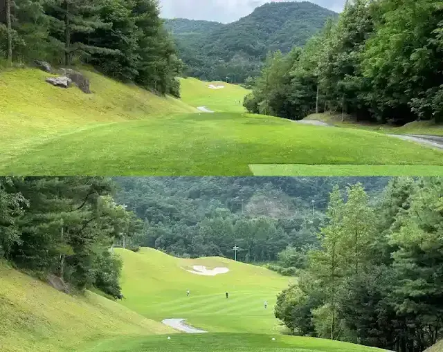 대영베이스 CC 인코스 2번 파 5홀 모습