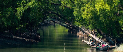 Sundarbans