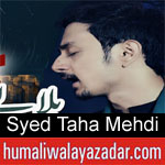 https://www.humaliwalayazadar.com/2019/10/syed-taha-mehdi-nohay-2020.html