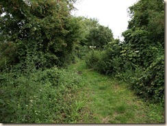 P7278878
