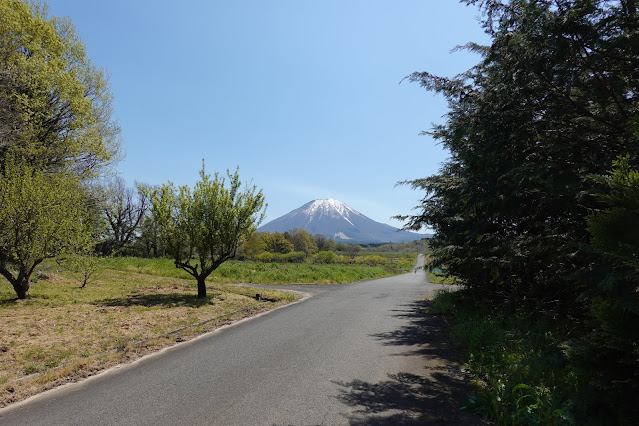 真野集落へ向かう道で