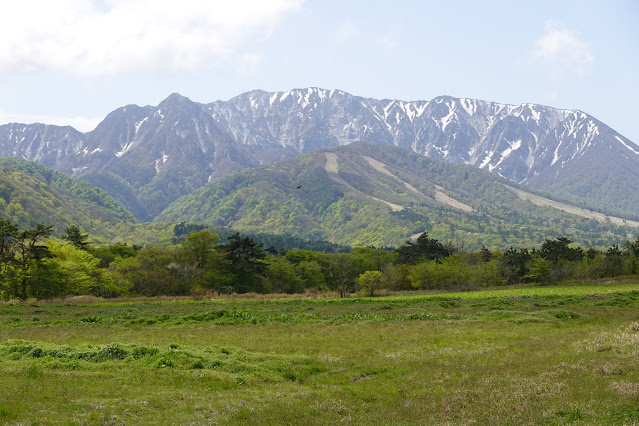 鳥取県西伯郡大山町豊房 その撮影ポイントでの写真