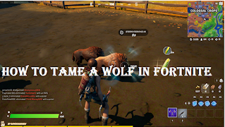 Tame wolf in fortnite, How to tame a wild boar or wolf