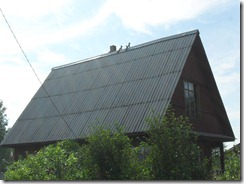 SDC11049