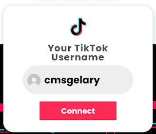 Tricktok com | Get Real Followers and likes tiktok from tricktok.com