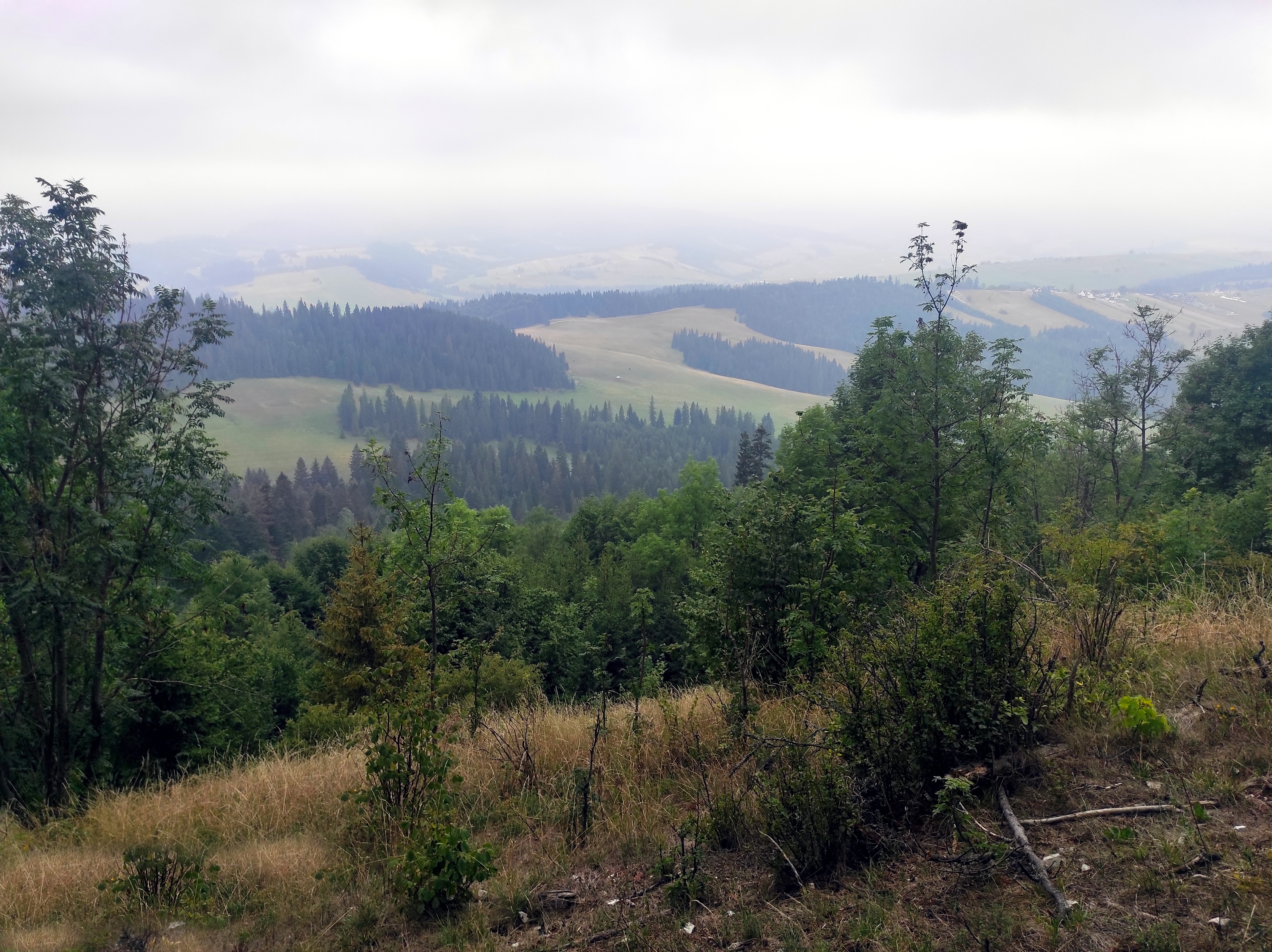 Droga na Żar Pieniny Spiskie