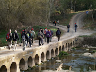 La passera de la Rabeia des de la vessant dreta del Llobregat