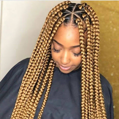 37 Unique Triangle Box Braids Hairstyles 2019 Funky For Black Women