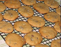 chocolate chip cookies