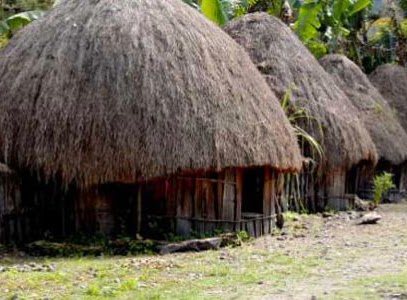  Honai Rumah Adat Papua Titik Air di Payung Hujan