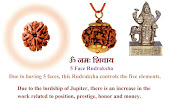 Complete Information About 5 Face Rudraksh, 5 Mukhi Rudraksha, पांचमुखी रुद्राक्ष की सम्पूर्ण जानकारी, only4us.in