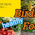 bards food / birds food tips/ birds care/ budgies