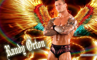 WWE Randy Orton Hd Wallpapers 2013