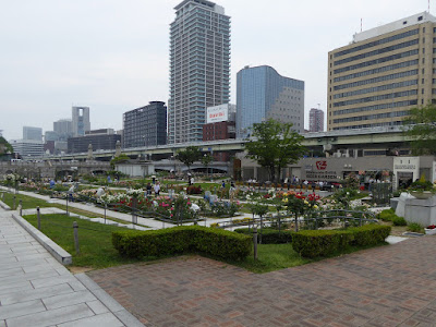 中之島公園のバラ園