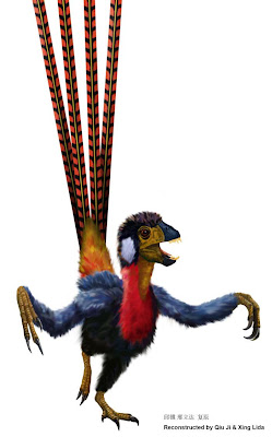 Epidexipteryx hui