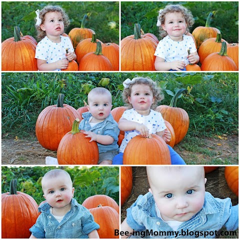 Baldwin Farms: Our visit to the Pumpkin Patch