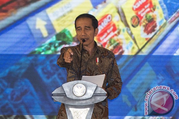 Kadin Jokowi