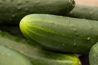 grow cucumbers