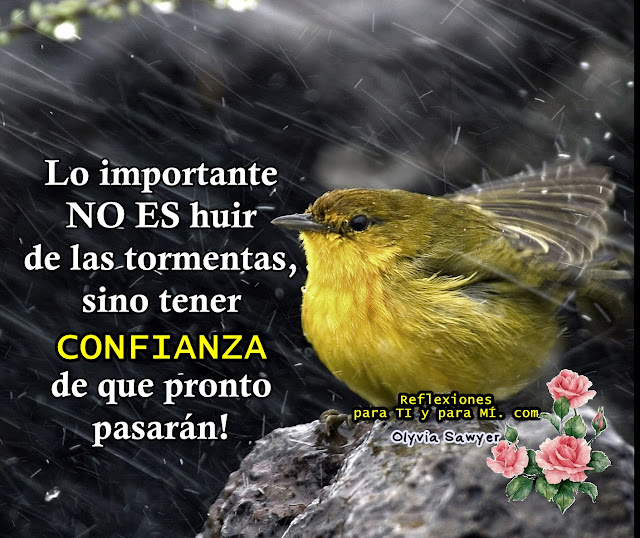 Así es la vida, a veces sentimos que el mundo se nos viene encima, pero luego nos sorprendemos al comprobar que todo pasa y frente a nosotros está un sol radiante esperando dar calor, energía y luz a nuestra vida ...